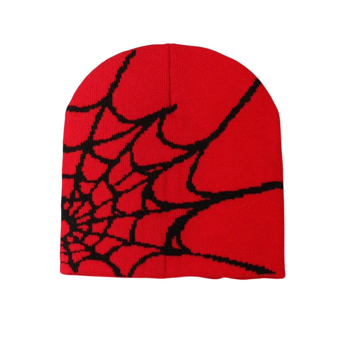DAMNED CULT WEB BEANIE - Damned Cult