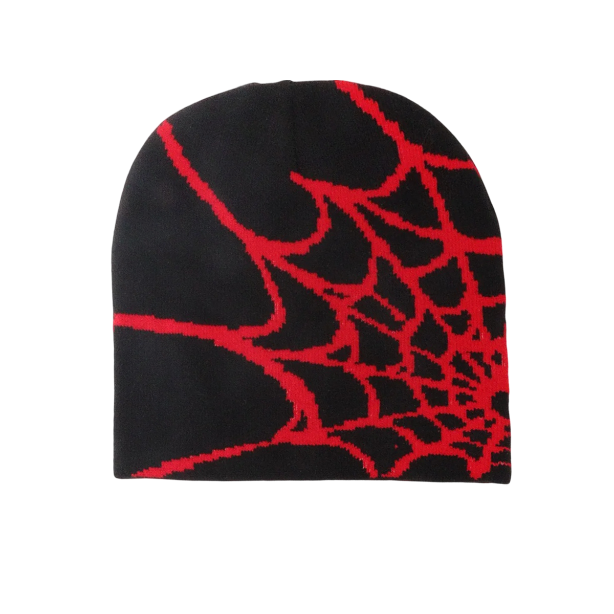 DAMNED CULT WEB BEANIE - Damned Cult